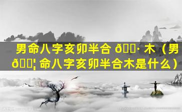男命八字亥卯半合 🌷 木（男 🐦 命八字亥卯半合木是什么）